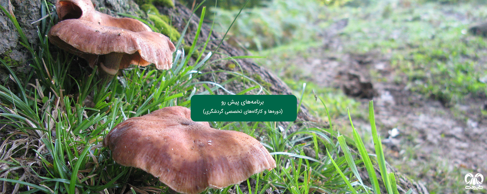 برنامه‌های پیش رو
